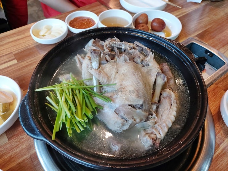 삼천포 맛집 토종닭 백숙 먹고 온날!