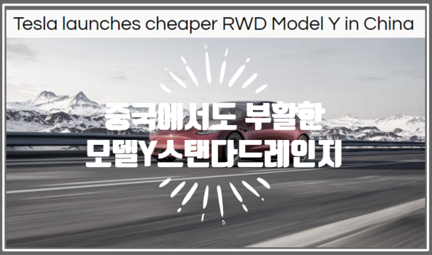  모델 Y 스탠다드레인지 RWD 트림 홍콩에 이어 중국에서 론칭