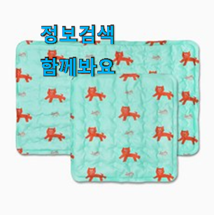 오늘의 강아지 쿨매트 인기 LIST 강추! 오늘의 강아지 쿨매트 인기 LIST 강추!