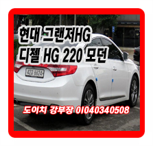  현대 그랜저HG 디젤 HG 220 모던