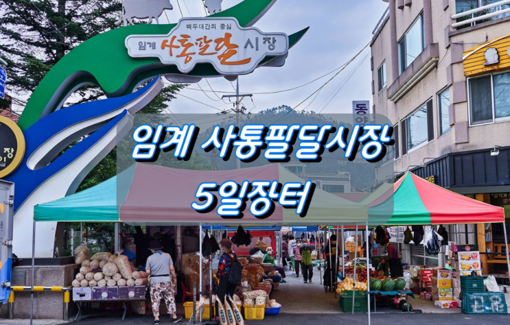백두대간의 중심 정선군 임계 사통팔달시장 5일장터 백두대간의 중심 정선군 임계 사통팔달시장 5일장터