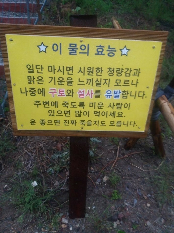 뭔가 이상한 물