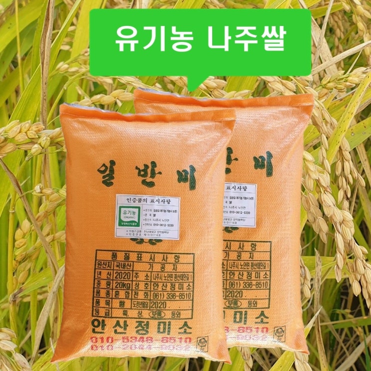 선택고민 해결 2020 나주 청정지역 유기농 무농약 맛있는 밥맛좋은 현미 백미 영호진미쌀 10kg 20kg, 0분도 현미 쌀 20kg 추천합니다