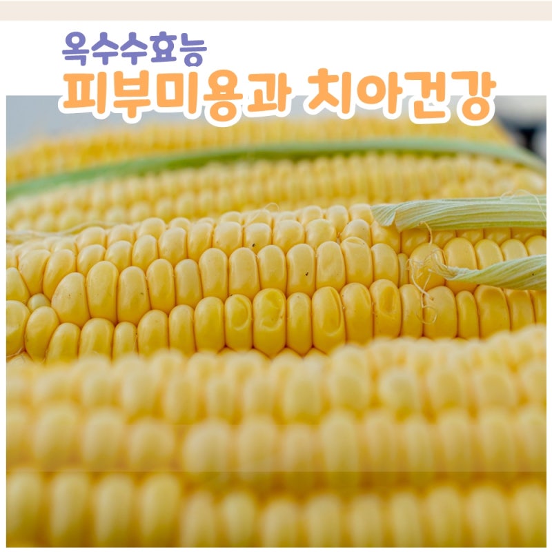 옥수수의 10가지 이점과 부작용을 알아보겠습니다.