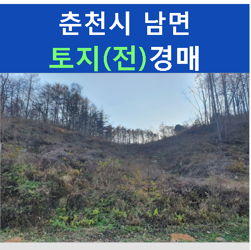 잡생이골 사진 2