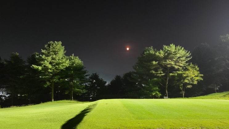  세종 에머슨 (Emerson) CC - 3부 경기