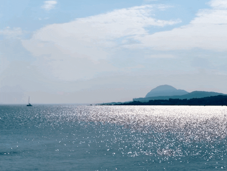  2021 제주 서귀포 여행 마지막날