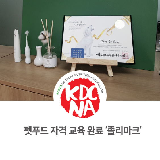  한국반려동물영양협회 박은정 펫영양사 졸리마크 방문 후기_826 [펫푸드자격증/펫푸드아카데미/전주/군산/대전/울산/포항/의정부/애견수제간식창업/펫푸드개발]