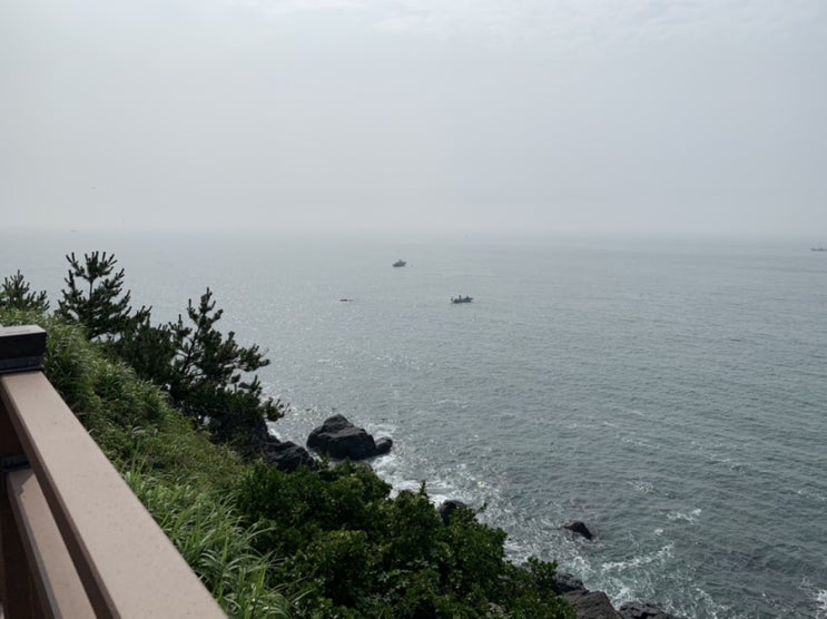이른아침! 청사포~해운대 블루라인 해변 열차 옆 그린레일웨이 걷기/ 뷰도 좋고, 공기도 좋고, 운동도하고!(+청사포주차정보, 블루라인해별열차 운행시간, 가격 정보, 몽돌해변) 이른아침! 청사포~해운대 블루라인 해변 열차 옆 그린레일웨이 걷기/ 뷰도 좋고, 공기도 좋고, 운동도하고!(+청사포주차정보, 블루라인해별열차 운행시간, 가격 정보, 몽돌해변)