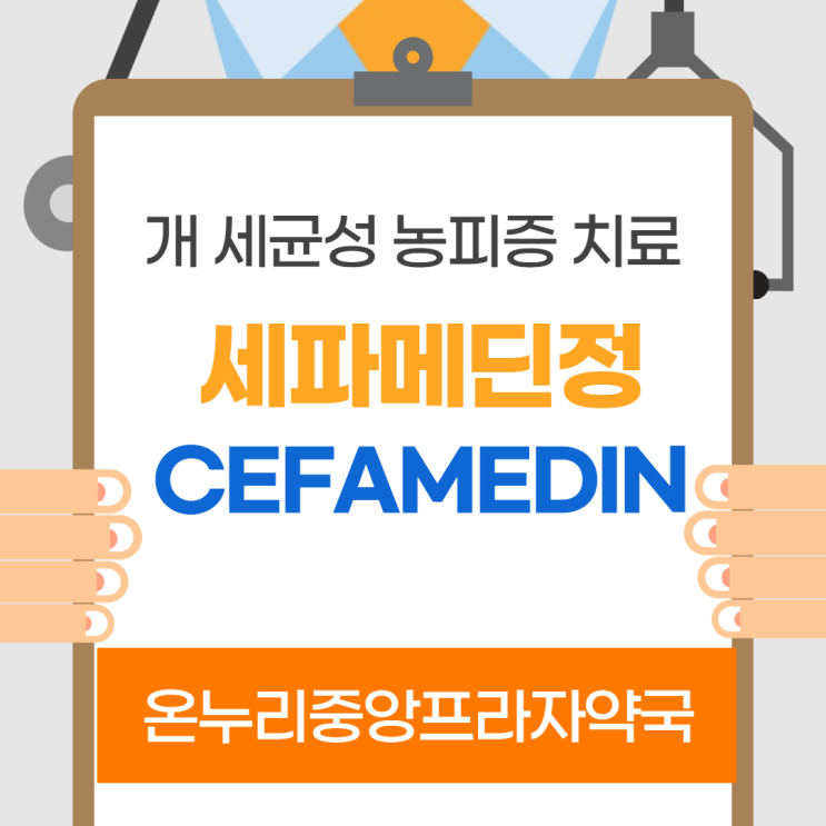  세파메딘정(인천 온누리중앙프라자약국)