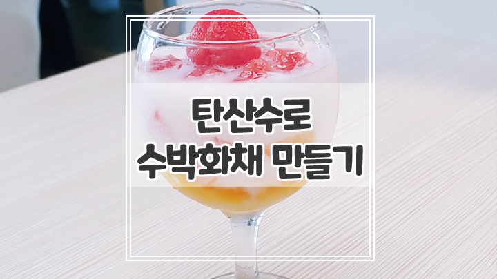  탄산수 활용해서 수박화채 만들기