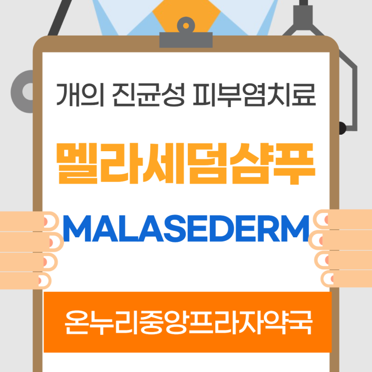  멜라세덤샴푸(인천 온누리중앙프라자약국)
