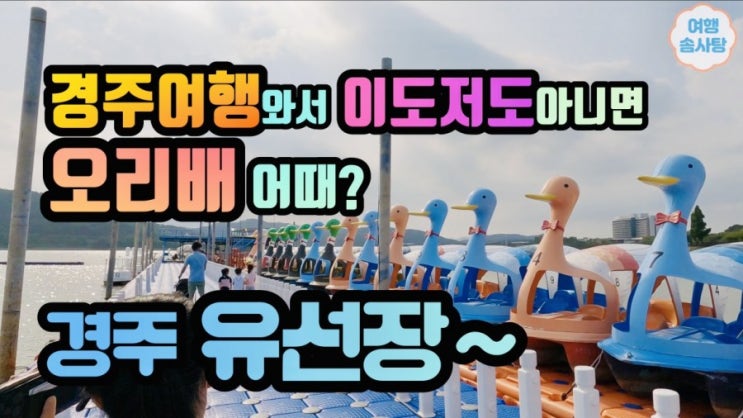  경주 가볼만한 곳 경주 오리배 체험기 보문호 유선장~카페 아덴 (+데이트코스 추천)