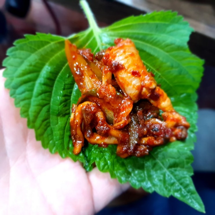  대구맛집 태전동 제철 해산물 산곰장어 꿀맛