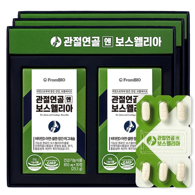 인기있는 프롬바이오 이병헌의 관절연골엔 보스웰리아+매스티나 샘플증정, 3개월, 60정, 850mg 추천합니다 인기있는 프롬바이오 이병헌의 관절연골엔 보스웰리아+매스티나 샘플증정, 3개월, 60정, 850mg 추천합니다