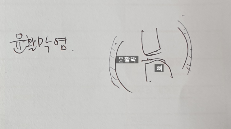  [건강] 손가락 관절이 아파서 방문한 류마티스 전문 내과 후기