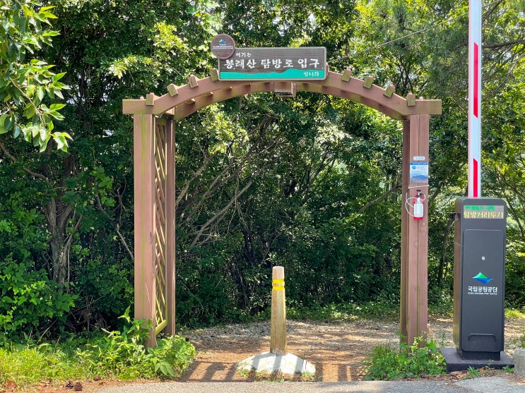  고흥 가볼만한 곳: 외나로도 편백숲( 봉래산편백숲)