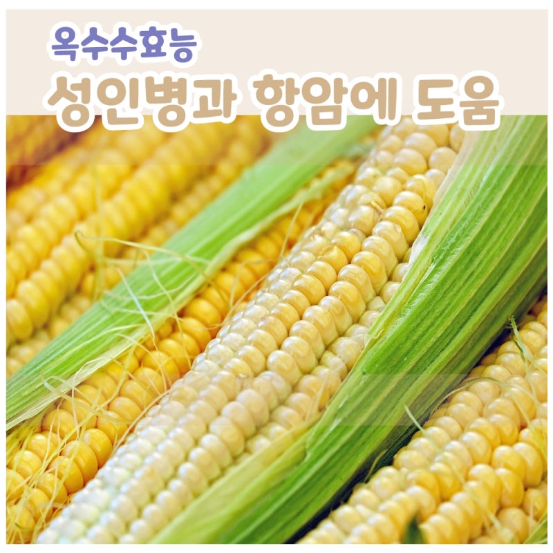 옥수수의 10가지 이점과 부작용을 알아보겠습니다.