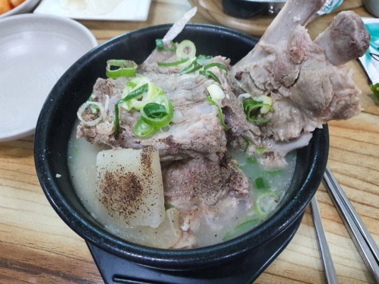  [ 제주 공항 ] 도두항 식당 - 몸국 , 고사리 육개장