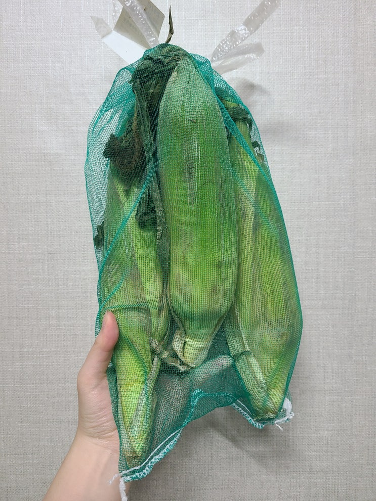  초당옥수수 삶는방법 전자렌지 3분컷 맛있는 간편 레시피 & 칼로리