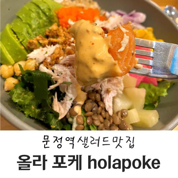  문정역 샐러드 맛집 날씬하게 든든한 한 끼가 가능한 곳 올라포케