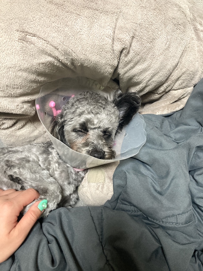  [김콩지] 7월_4