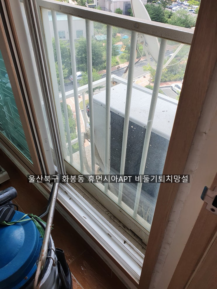  부산 울산 양산비둘기퇴치청소 울산북구 휴먼시아APT 비둘기악취제거 배설물청소 퇴치망설치~해피홈케어