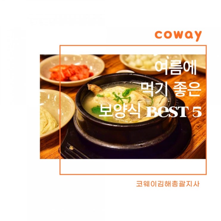  초복에 먹기 좋은 여름 보양식 Best 5