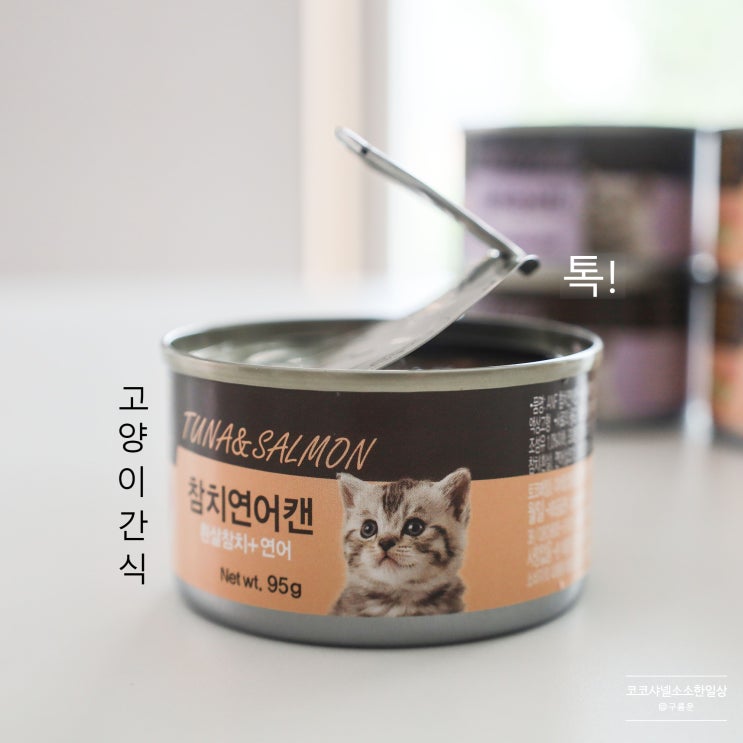  누가 간식 소리를 내었는가? 마성의 기호성! ANF 고양이 캔