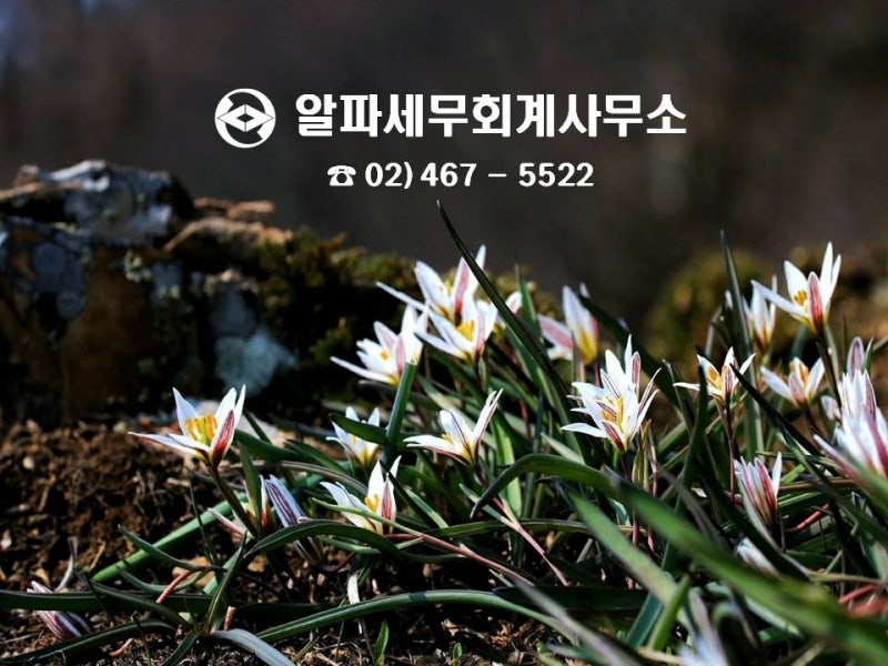 2021년 제1차 고정부가가치세 신고안내-성동지방세무사