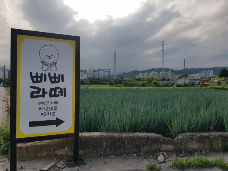 사진 2