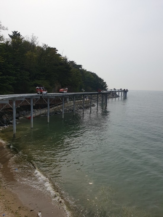  [충남 보령 여행] 대천해수욕장 스카이바이크 드디어 타보다.