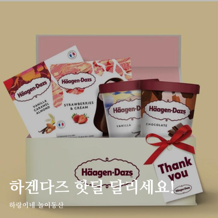  카카오톡 선물하기 하겐다즈 핫딜 파인트 2개, 바 6개 12700원 무료배송