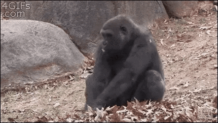  에어팟 끼고 일어난 나의 모습.gif