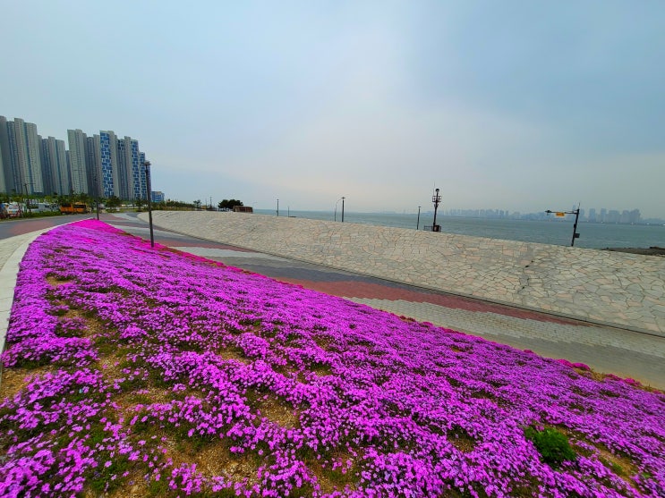  인천 배곧신도시 공원 여유 누리기 좋은 곳