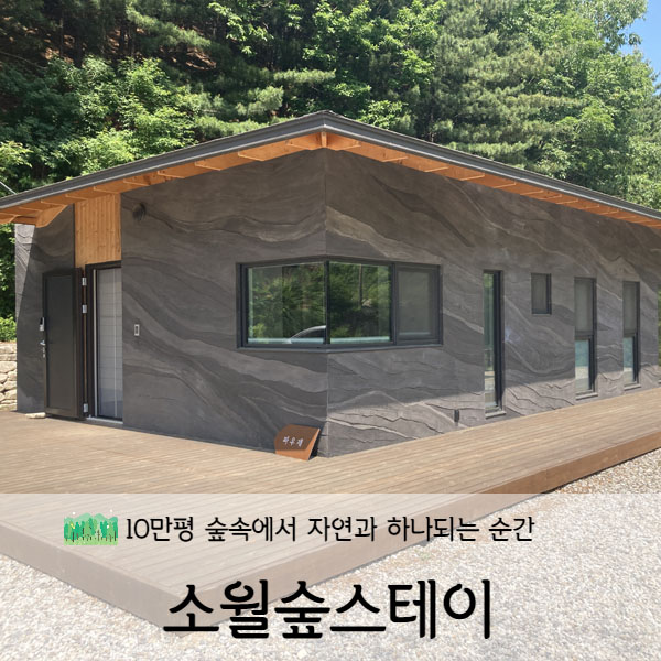  [강원도/인제] 소월숲스테이 파우재(破憂齋)