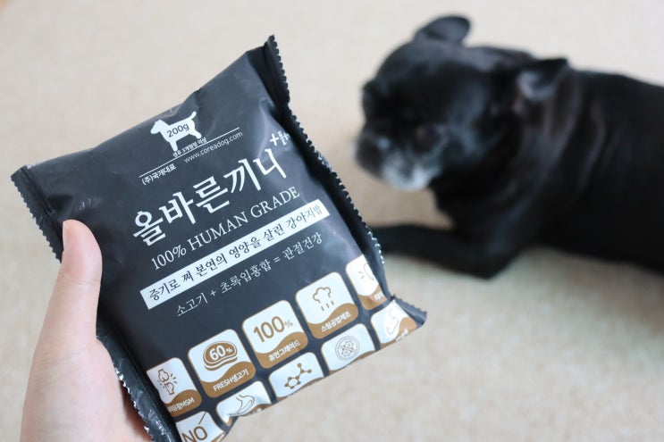  강아지알러지사료 예민한 프렌치불독을 위한 올바른끼니