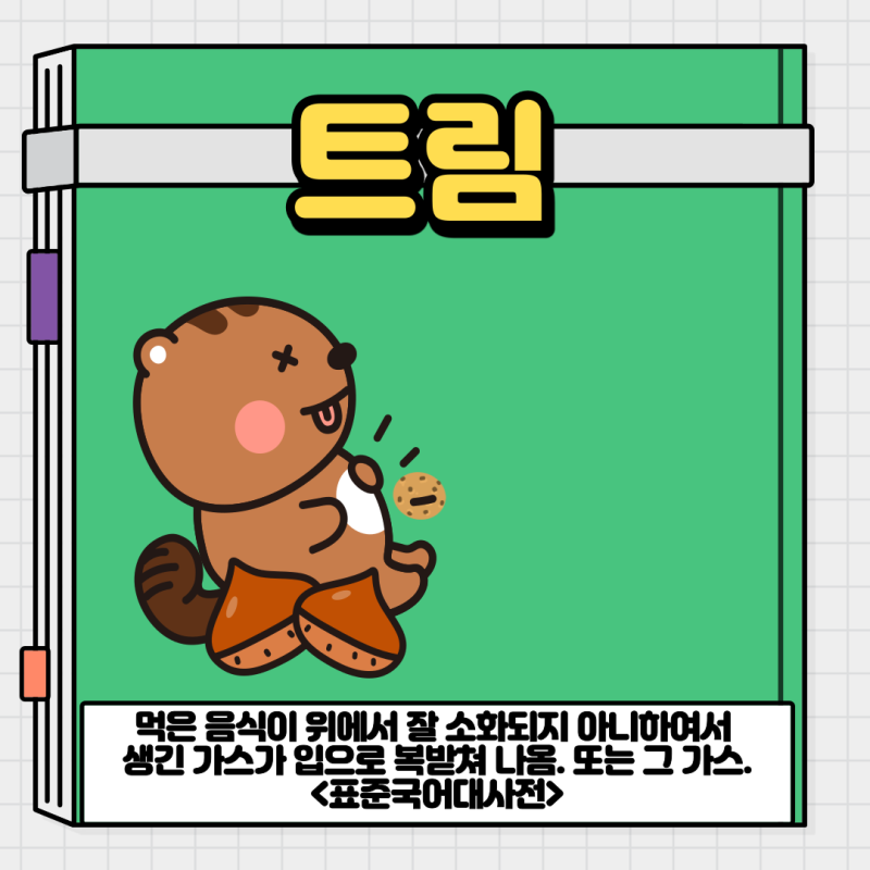 트림 트름 : 네이버 블로그