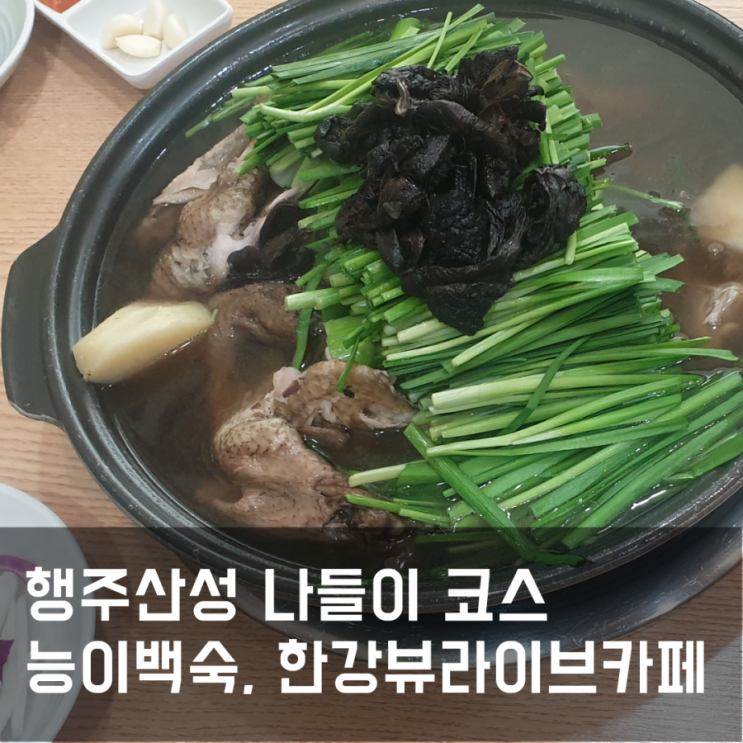  행주산성 나들이 코스_참조은능이버섯백숙, 오페라디바스