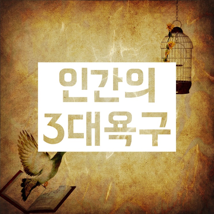 인간의 3대 욕구 :: 식욕 성욕 수면욕 살펴보자!