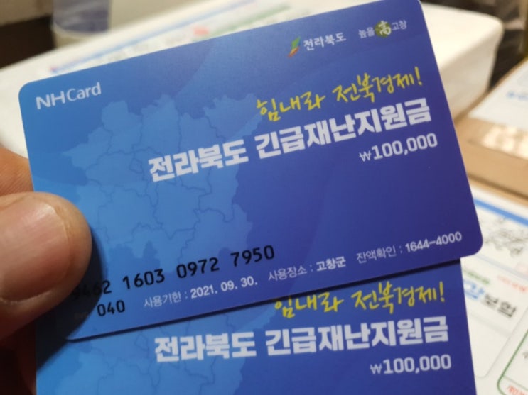 칼질 칼질