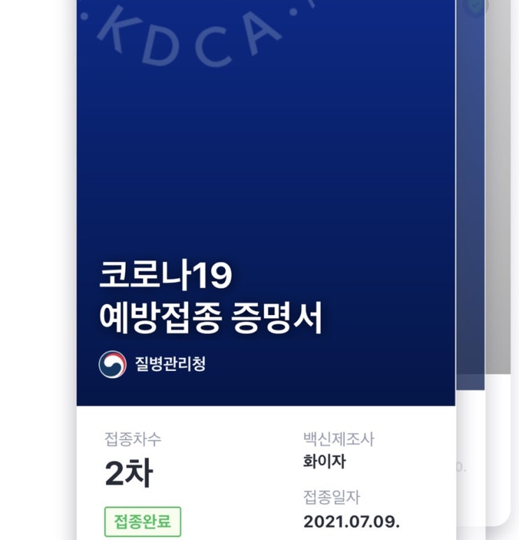  죽다 살아난 20대 화이자 2차 접종 후기 (부작용? 미열 오한 근육통)