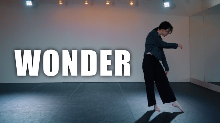  Shawn Mendes " Wonder" | choreography seung hee