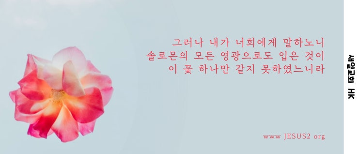  새일교회 ㅣ 성실과 정의의 하나님