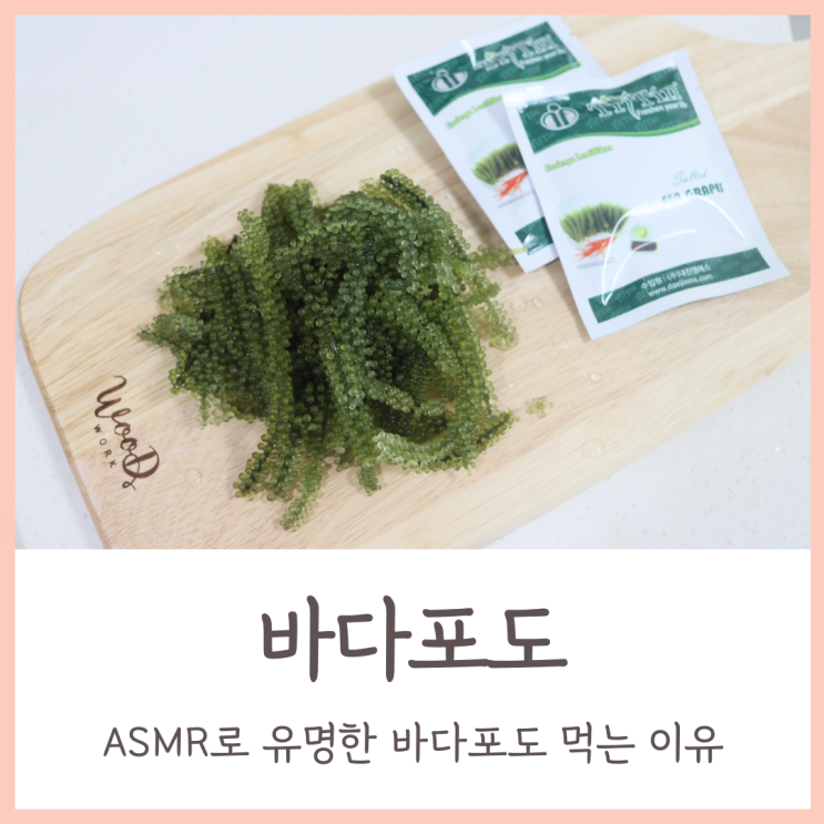  바다포도 맛 톡톡 터지는 짠 맛 feat.트리틴