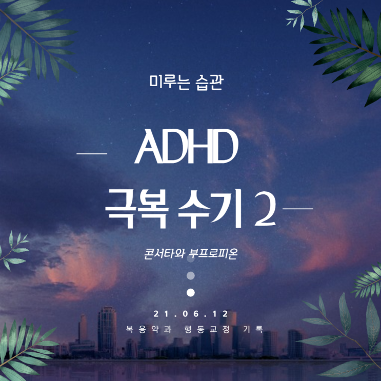  성인 ADHD 콘서타와 부프로피온, 미루는 습관