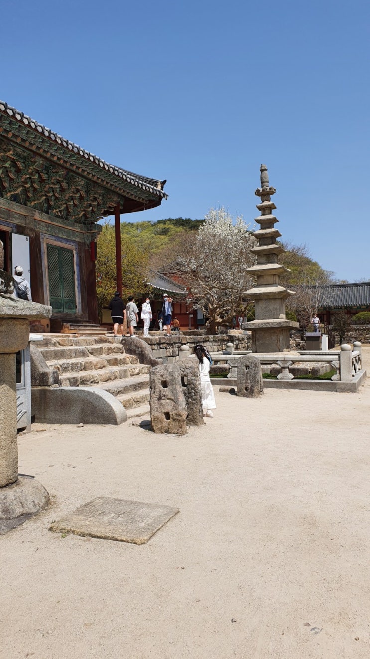  고창 선운사- 고창 가볼만한 곳
