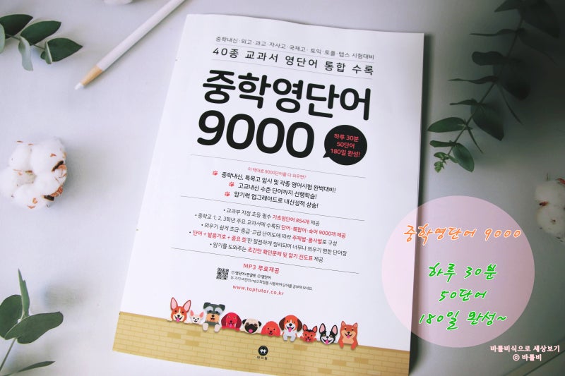 중학 영단어9000 마더텅 중학영단어 꼼꼼하게 학습하는법 : 네이버 블로그 중학 영단어9000 마더텅 중학영단어 꼼꼼하게 학습하는법 : 네이버 블로그