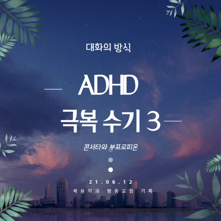  성인 ADHD 콘서타와 부프로피온, 대화의 방식