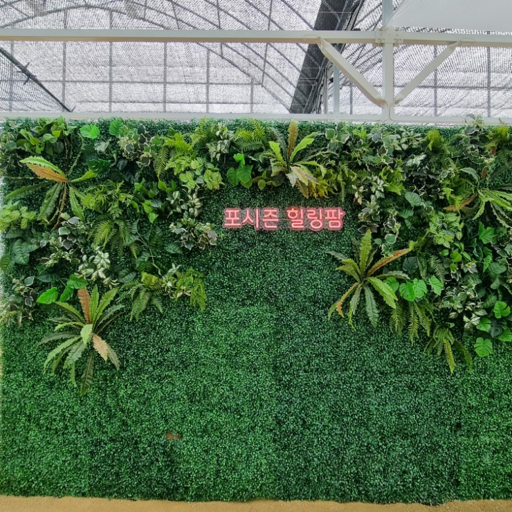 경기도 수원, 포시즌 힐링팜 (근교 농장 체험 추천! ) 경기도 수원, 포시즌 힐링팜 (근교 농장 체험 추천! )